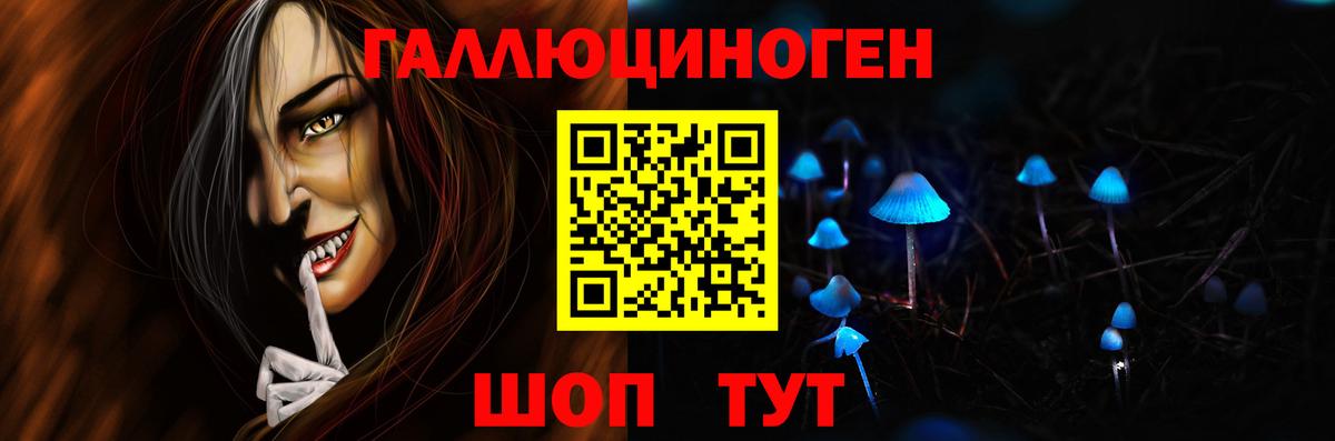 Красногорск  Псилоцибиновые грибы Psilocybe  Вход с VPN 
